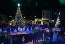 Festive Lights & Handcrafted Delights: Christmas Comes to Downtown Panama City Bay Arts Price Family Light Show 2