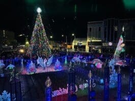 Bay Arts Price Family Light Show 2