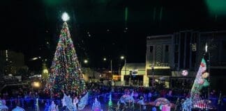 Festive Lights & Handcrafted Delights: Christmas Comes to Downtown Panama City Bay Arts Price Family Light Show 2
