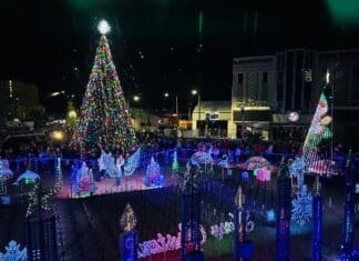 Bay Arts Price Family Light Show 2