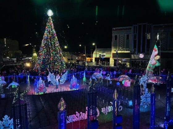 Bay Arts Price Family Light Show 2