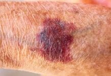 Coastal Skin Surgery 6641