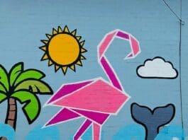 Bay Arts Flluxe Beau Bradbury