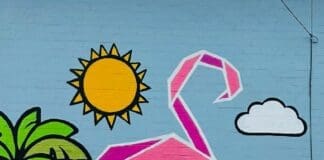 Bay Arts Flluxe Beau Bradbury