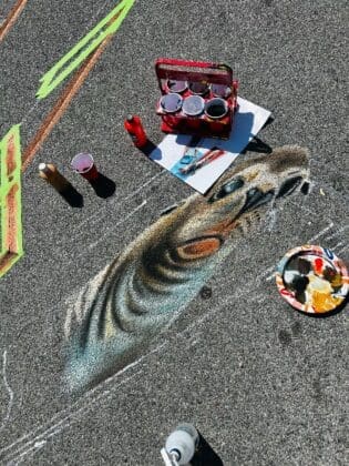 Bay Arts Flluxe Jan Riggins