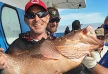 Fishing Season is Here! 34 Inch Red Grouper