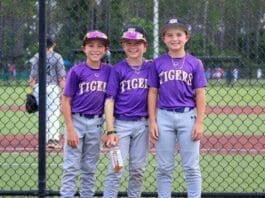 Pcb Spring Sports 6 Cloudinary