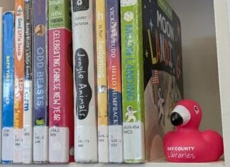 Pxl 20260303 182634098.portrait.original