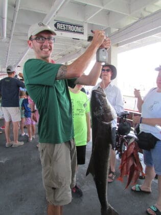 Alex 85lb Cobia