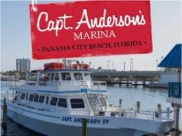 Andersons Marina