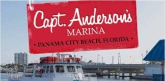 Andersons Marina