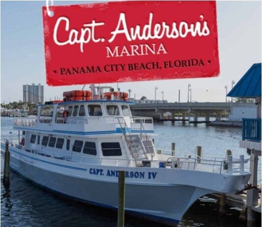 Andersons Marina