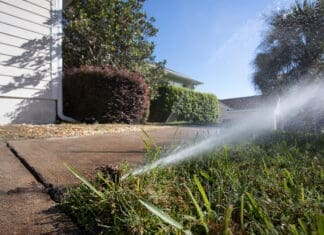 Growing Sprinkler