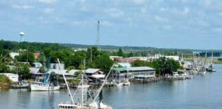 Summer Activities Shrimp Boat