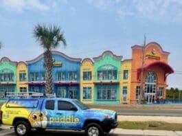 Puddle Pool Services 2056