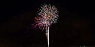 Fireworks Pic